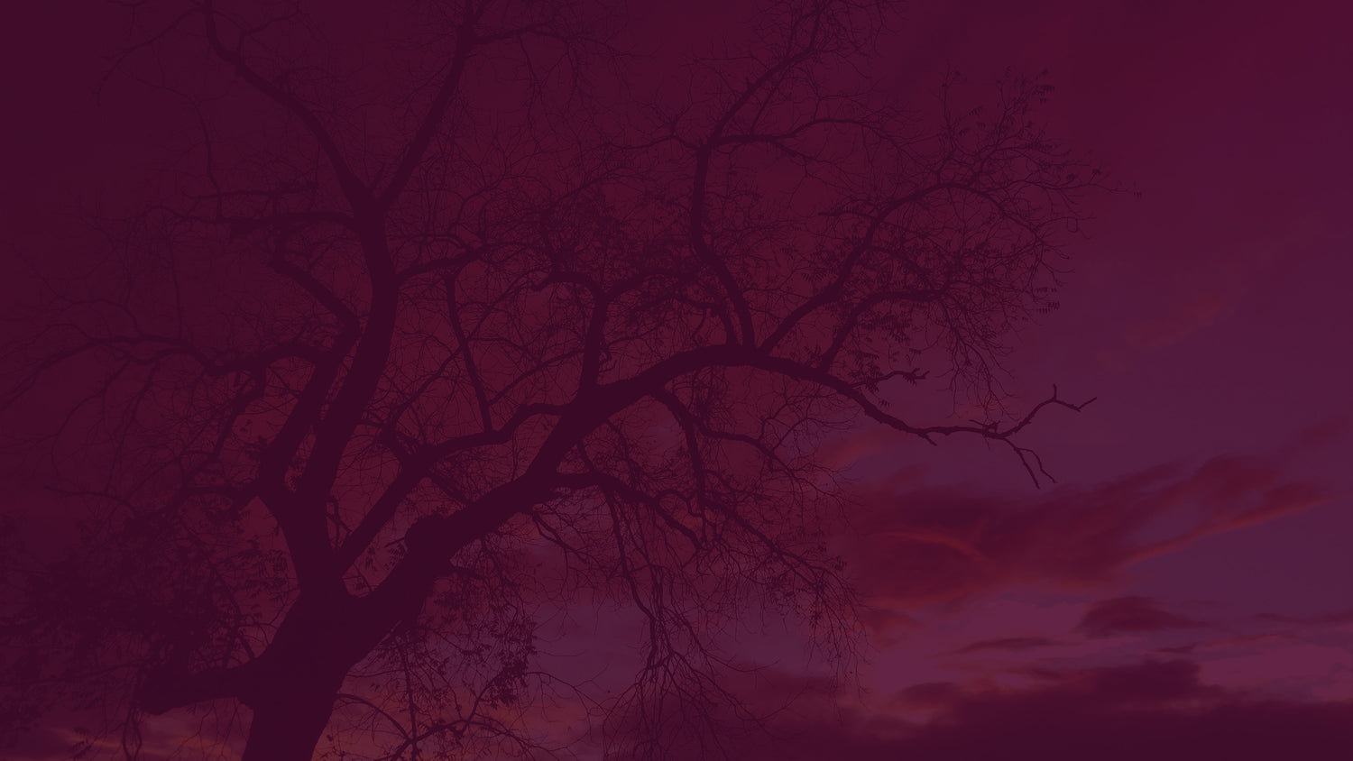 A silhouette of a tree with bare branches stands against a colorful, dusky sky. The sky features hues of deep red, orange, and purple as the sun appears to be setting or rising, creating a serene and dramatic twilight atmosphere.